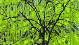 tree with green glass background