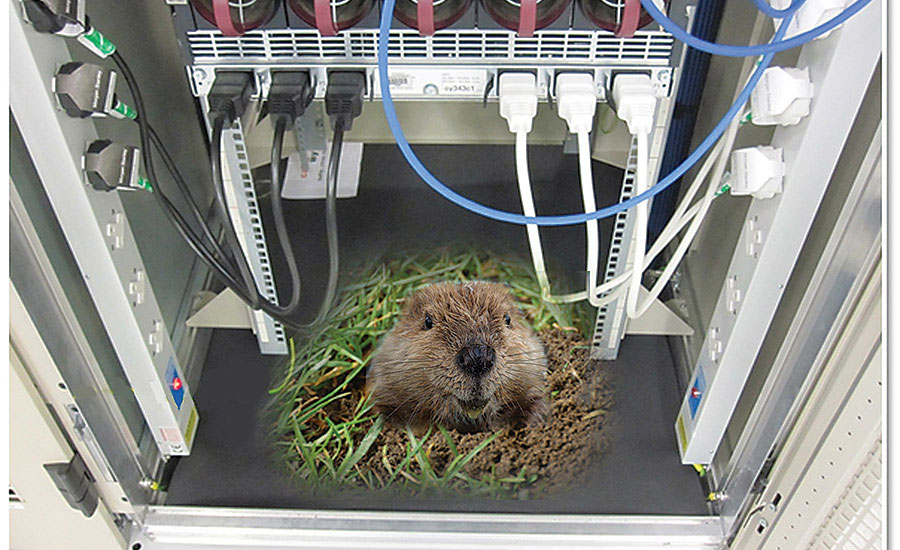 Are There Gophers In Your Data Center 2015 10 02 Mission